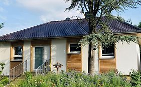 Ferienhaus Urwald